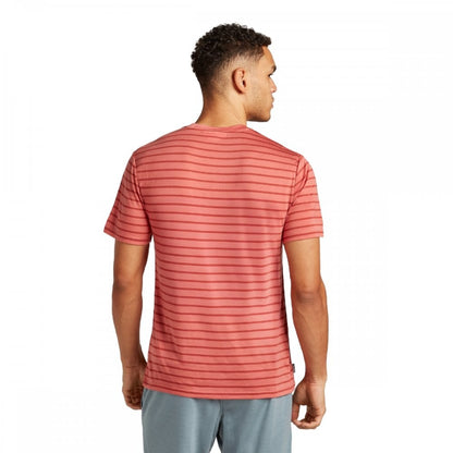 Mens Merino Blend Drayden Short Sleeve T-Shirt Stripe