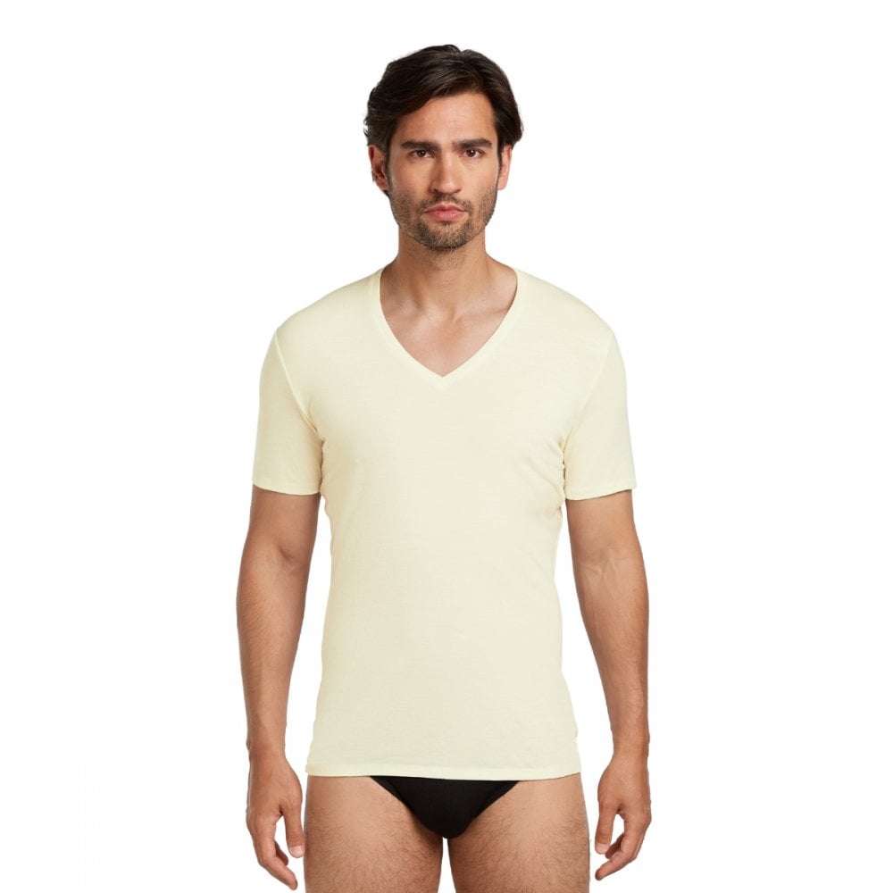 Mens Merino 150 Anatomica Short Sleeve V Neck Top
